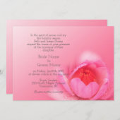 roze waterlelie op een roze achtergrond. 粉 红 睡 莲 。 kaart (Voorkant / Achterkant)