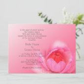 roze waterlelie op een roze achtergrond. 粉 红 睡 莲 。 kaart (Staand voorkant)