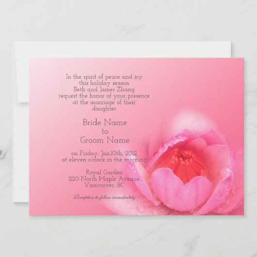 roze waterlelie op een roze achtergrond. 粉 红 睡 莲 。 kaart (Voorkant)