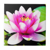 Roze waterlelie tegeltje (Voorkant)