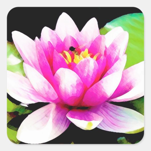 Roze waterlelie vierkante sticker (Voorkant)