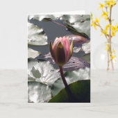 Roze Waterleliekaart Kaart (Gele Bloem)