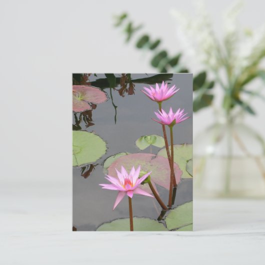Roze waterlelies briefkaart (Staand voorkant)