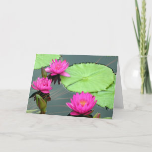 Roze Waterlelies Kaart