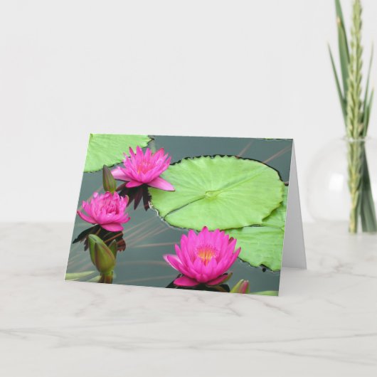 Roze Waterlelies Kaart (Voorkant)