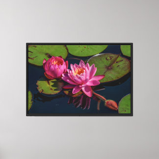 Roze waterlelies op canvas print