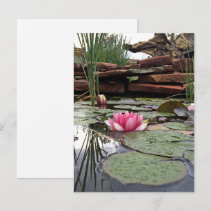 Roze Waterlelies Reflectie Foto Briefkaart