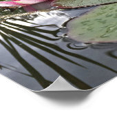 Roze Waterlelies & Reflecties Fotografie Poster (Hoek)