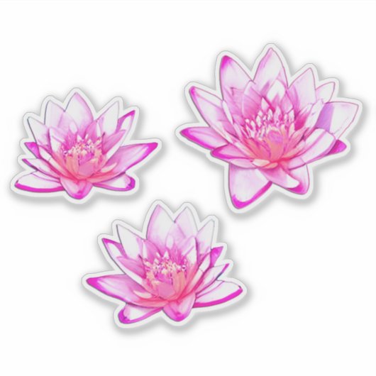 Roze waterlelies sticker (Voorkant)