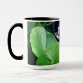 Roze waterlilies Floral Foto Drow Mok (Links)