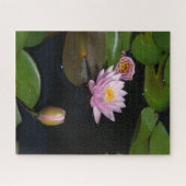 Roze Waterlilies Jigzaag Puzzle Legpuzzel (Horizontaal)