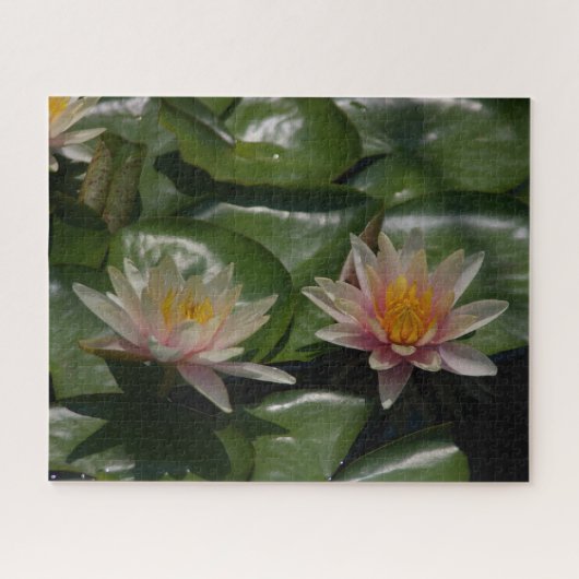 Roze Waterlilies Jigzaag Puzzle Legpuzzel (Horizontaal)