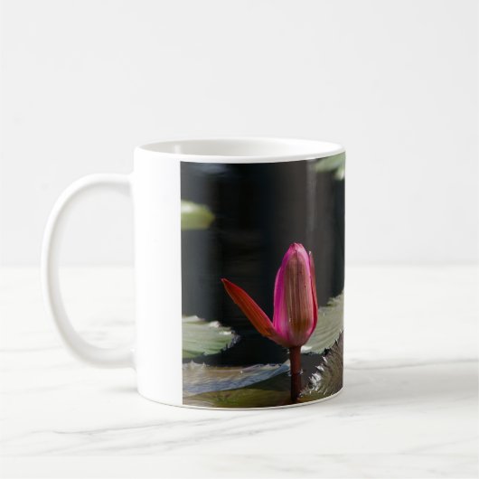 Roze waterlilies koffiemok (Links)