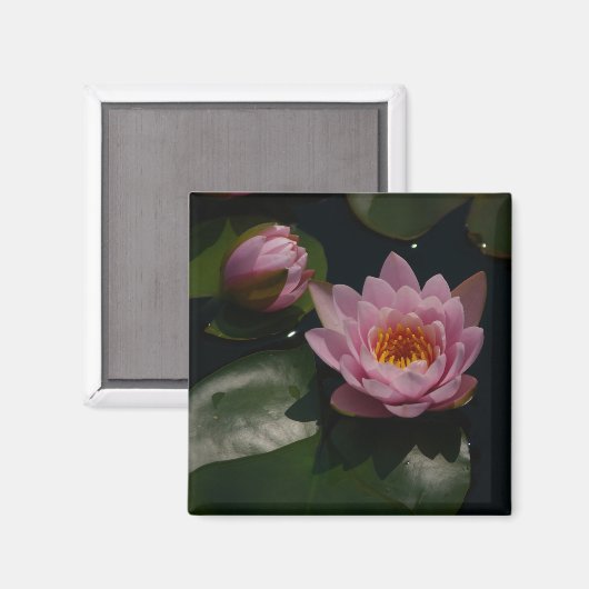 Roze Waterlilies Magnet (Voorkant / Achterkant)