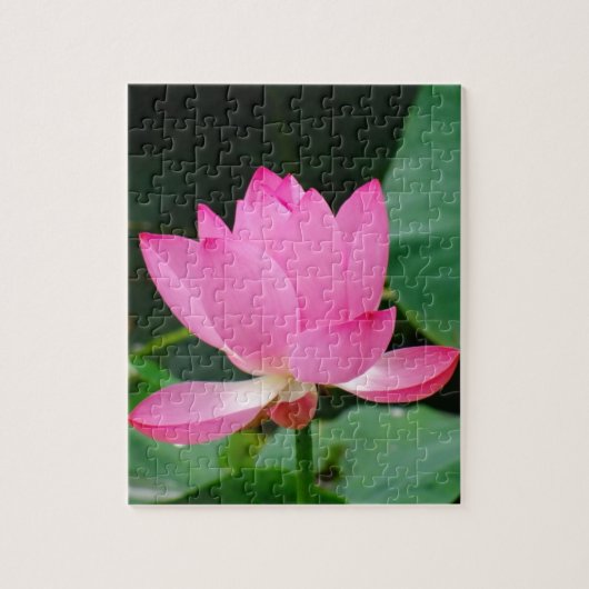 Roze waterLily in een hond Legpuzzel (Verticaal)
