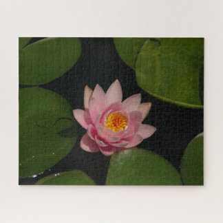 Roze Waterlily Jigzaag Puzzle Legpuzzel