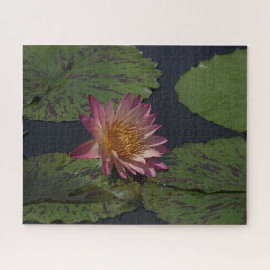 Roze Waterlily Jigzaag Puzzle Legpuzzel (Horizontaal)