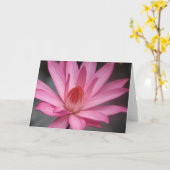 Roze Waterlily Kaart (Gele Bloem)