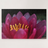 Roze waterlily legpuzzel (Horizontaal)