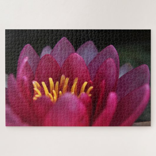 Roze waterlily legpuzzel (Horizontaal)