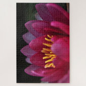 Roze waterlily legpuzzel (Verticaal)