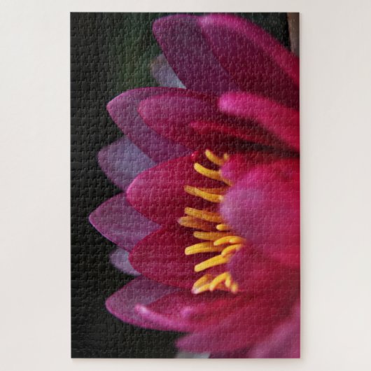 Roze waterlily legpuzzel (Verticaal)