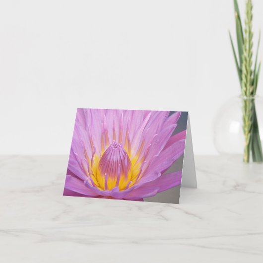 Roze Waterlily Notecard Kaart (Voorkant)