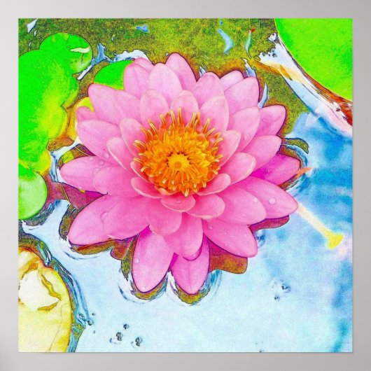 Roze waterlily poster (Voorkant)