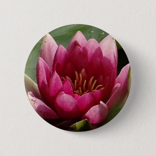 Roze waterlly ronde button 5,7 cm (Voorkant)