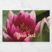 Roze waterlly voedselcontainer etiket (Enkel label)