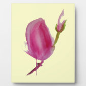 Roze waterverf bloem fotoplaat (Voorkant)