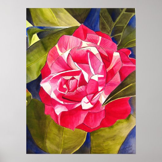 Roze waterverf bloemenschilderij van Camellia Poster (Voorkant)