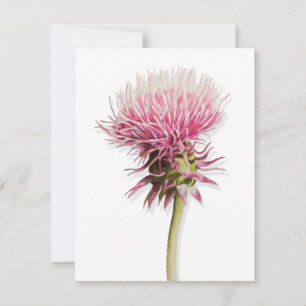 Roze Waterverf distel wilde bloem in bloei Notitiekaartje