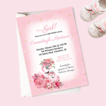 Roze Waterverf Flamingo Ballerina Baby shower