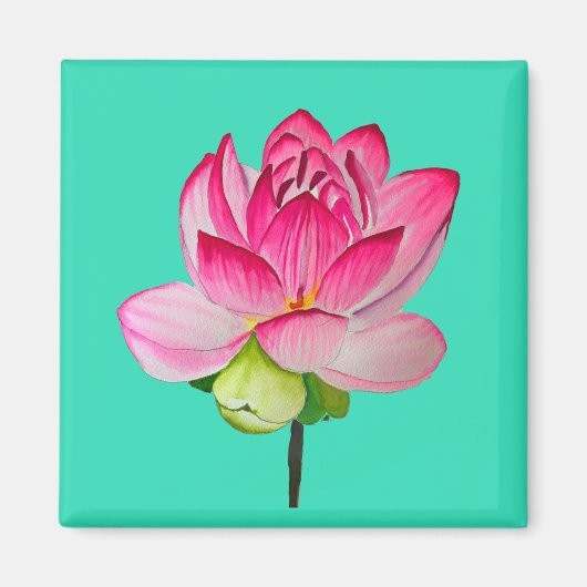Roze waterverf lotus fine art. magneet (Voorkant)