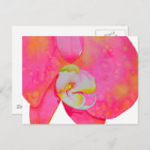 Roze waterverf schilderij briefkaart (Voorkant / Achterkant)