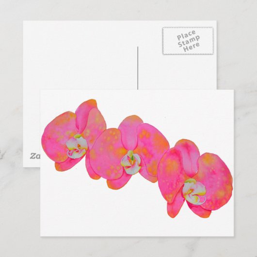 Roze waterverf schilderij briefkaart (Voorkant / Achterkant)