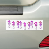 Roze Waterverf Seapaarden Bumpersticker (Op auto)