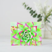 Roze Waterverf Succulent Briefkaart (Staand voorkant)