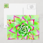 Roze Waterverf Succulent Briefkaart (Voorkant / Achterkant)