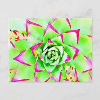 Roze Waterverf Succulent Briefkaart
