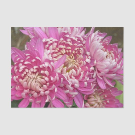  roze weefselpapier tissuepapier (Voorkant)