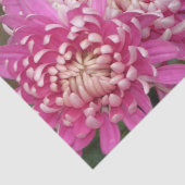  roze weefselpapier tissuepapier (Detail)