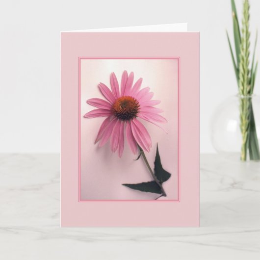 Roze Wenskaart Coneflower Kaart (Voorkant)