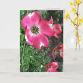 Roze Wenskaart Dogwood Kaart (Gele Bloem)