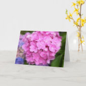 Roze Wenskaart Hydrangea Kaart (Gele Bloem)