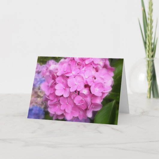 Roze Wenskaart Hydrangea Kaart (Voorkant)