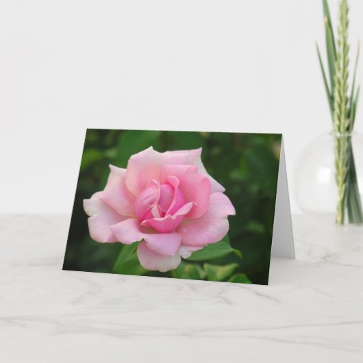 Roze Wenskaart Kaart (Voorkant)