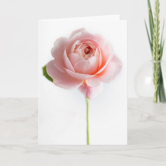 Roze Wenskaart Kaart (Voorkant)