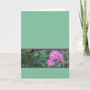 Roze Wenskaart Wildflower Kaart